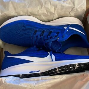 NIKE AIR ZOOM PEGASUS 36 TB